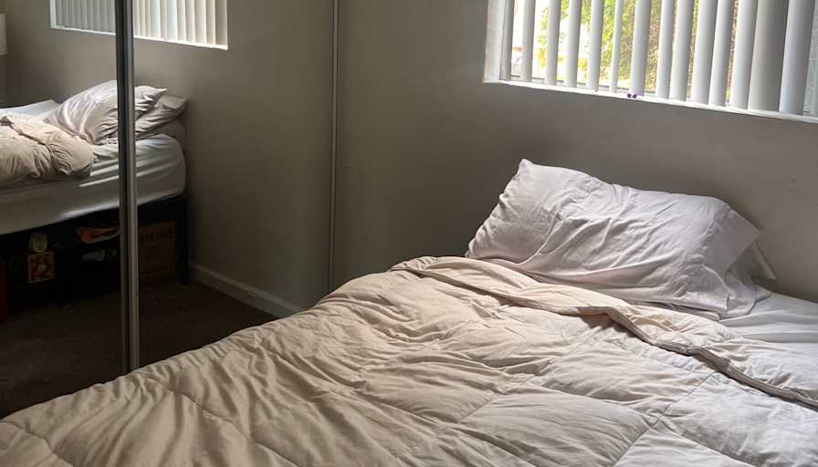 Timothy Mapes's room