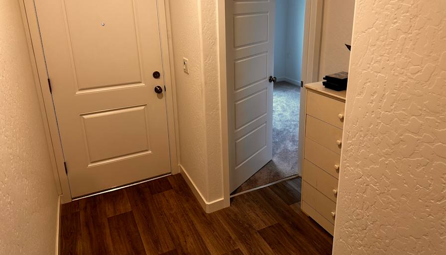 Shalom's room