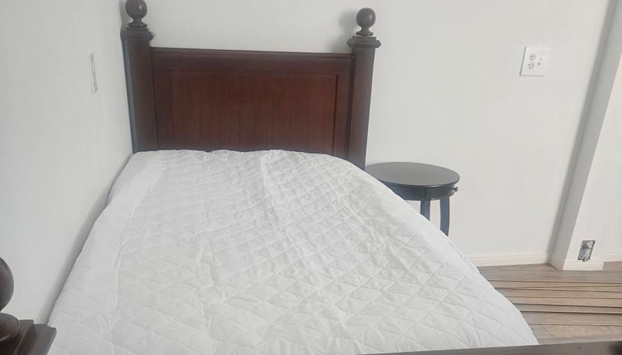 Mary's room