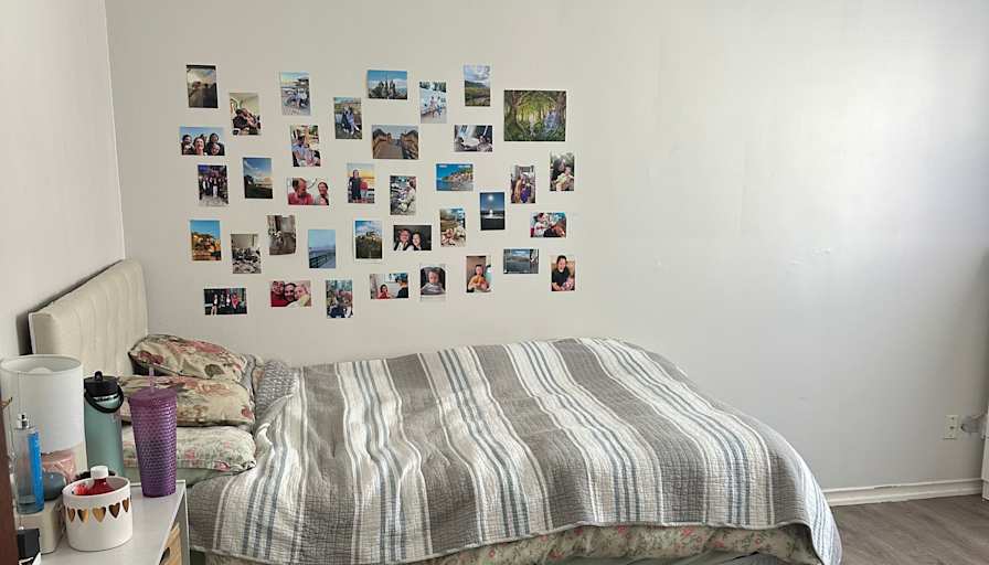 Rose's room