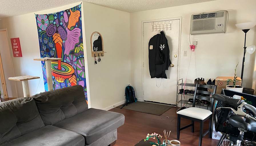 Trevor's room