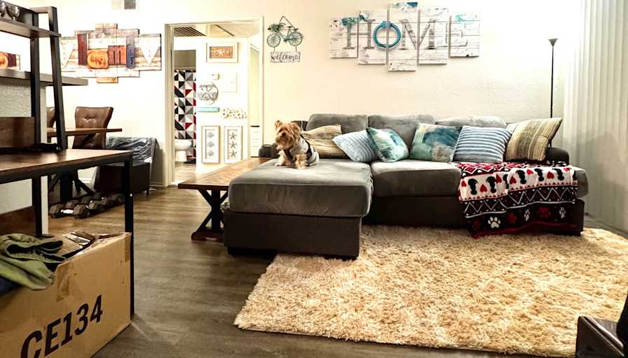 Golden's room
