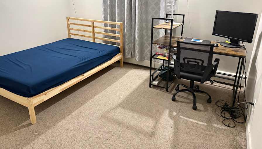 Pouria's room