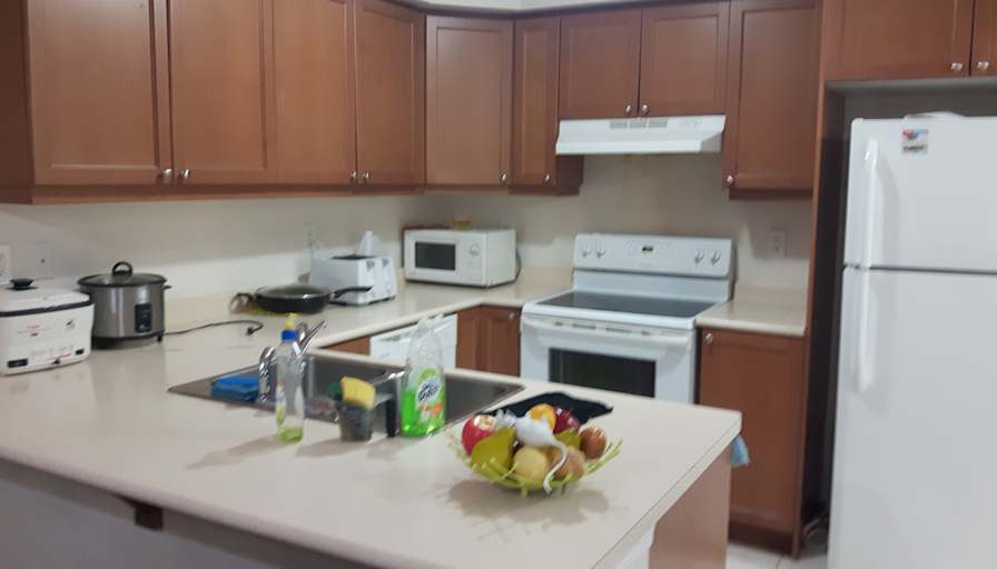 Shaheen's room