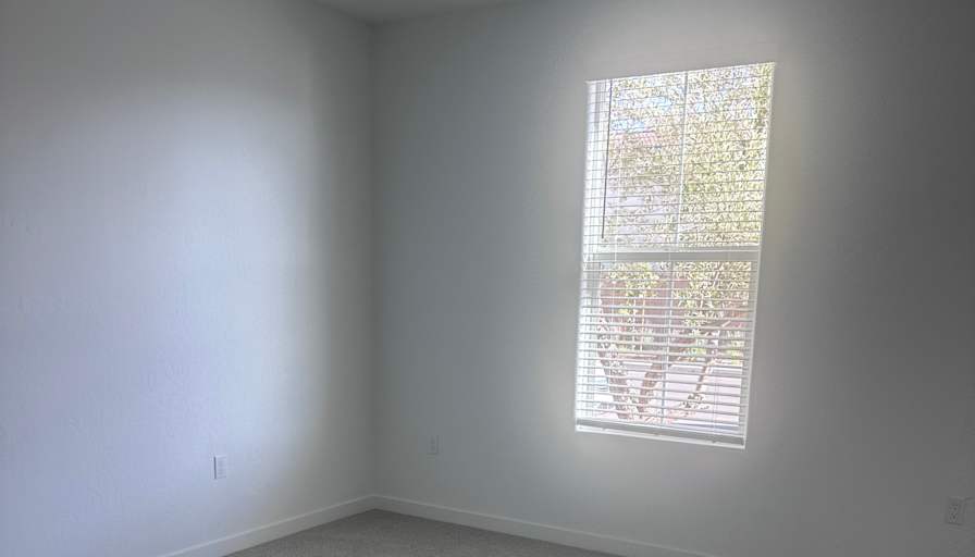 Alexander Hernandez's room