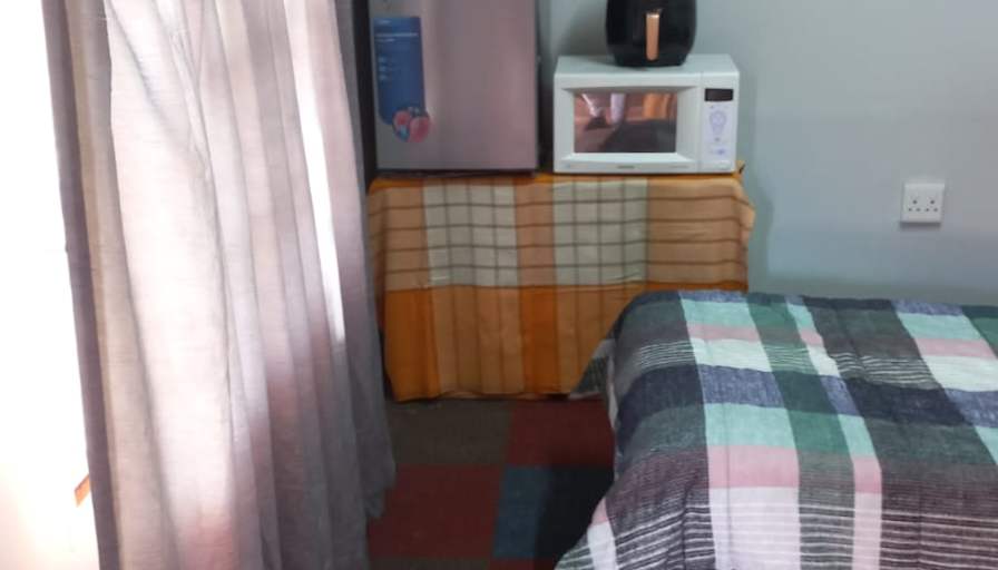 Willows on Bartlett's room