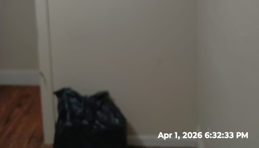 David's room