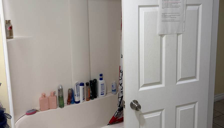 Abi's room