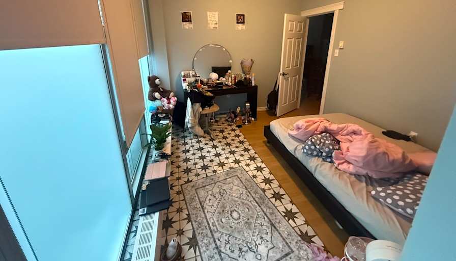 Mary's room