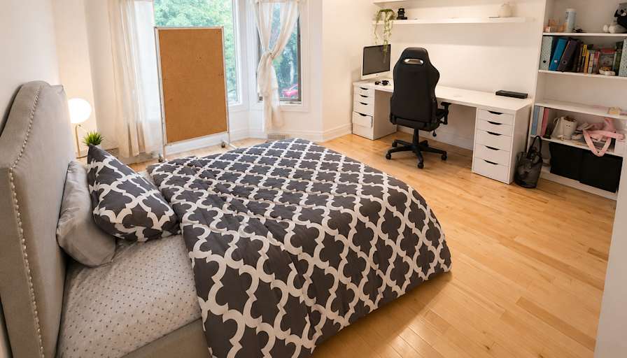 Ness hu's room