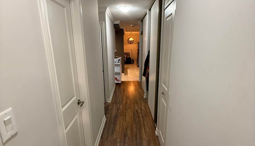 Dmitry's room