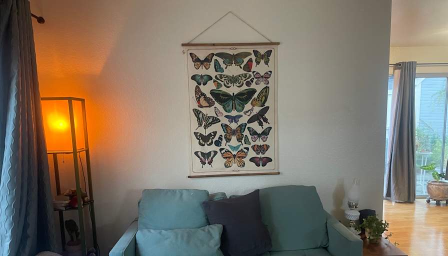 Savannah's room
