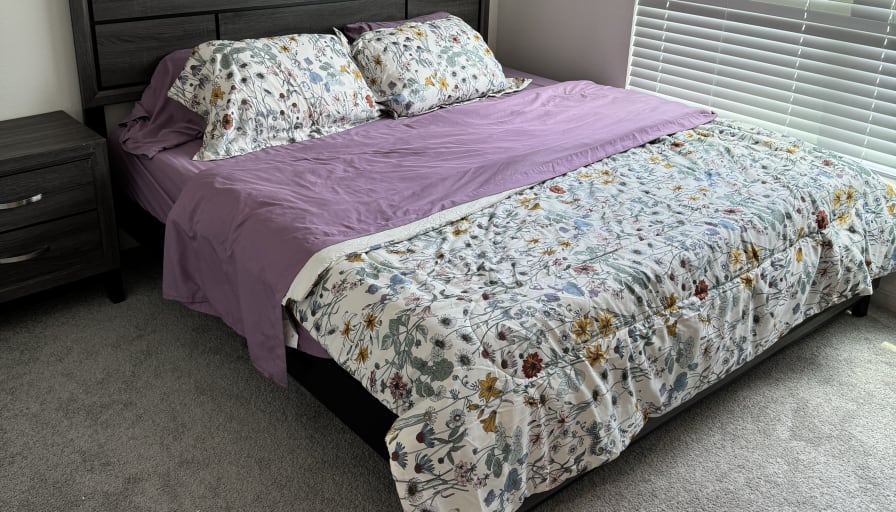 Agnes's room