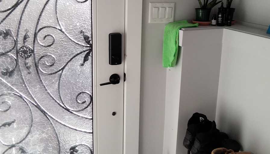 Aaron Zebrafish's room