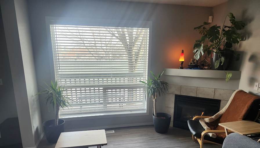 Stephen's room