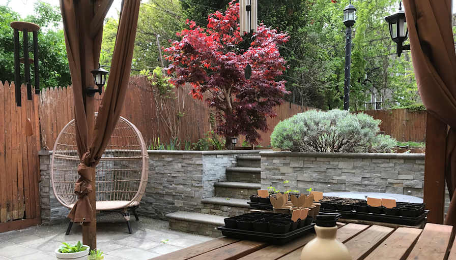 Raquel's room