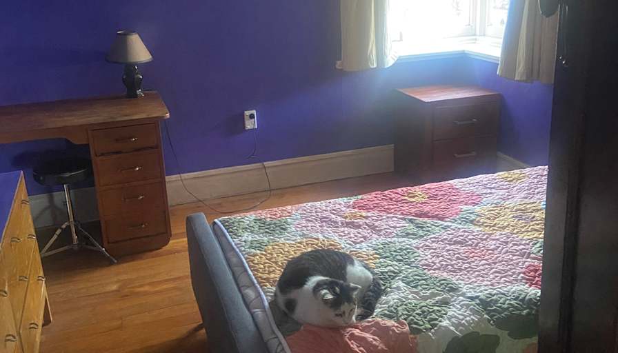 Brigid's room