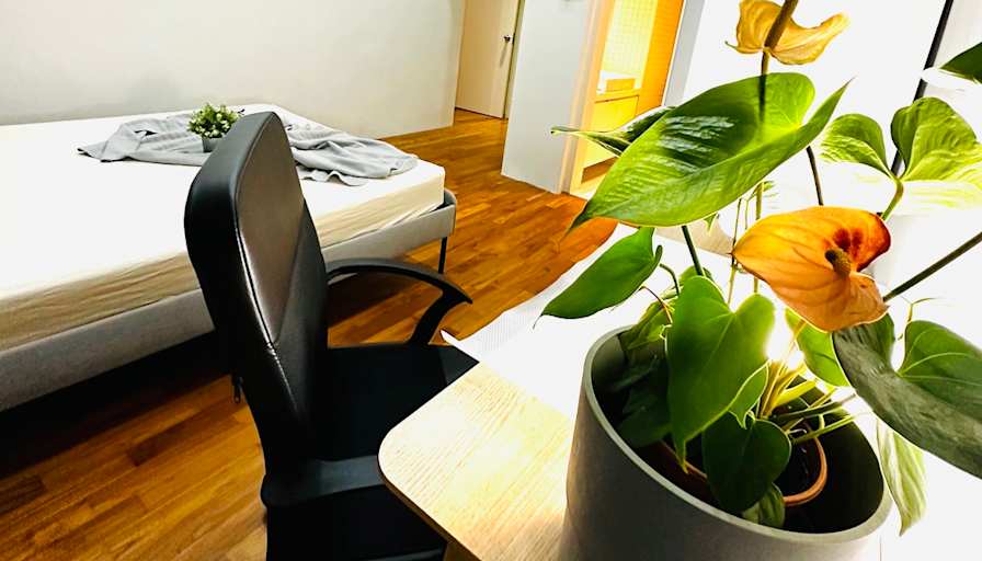 Adam's room