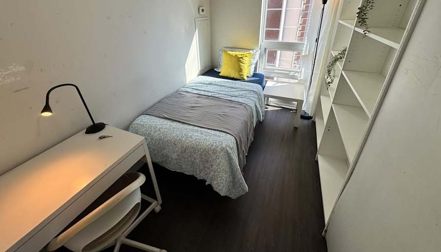 Rabia's room