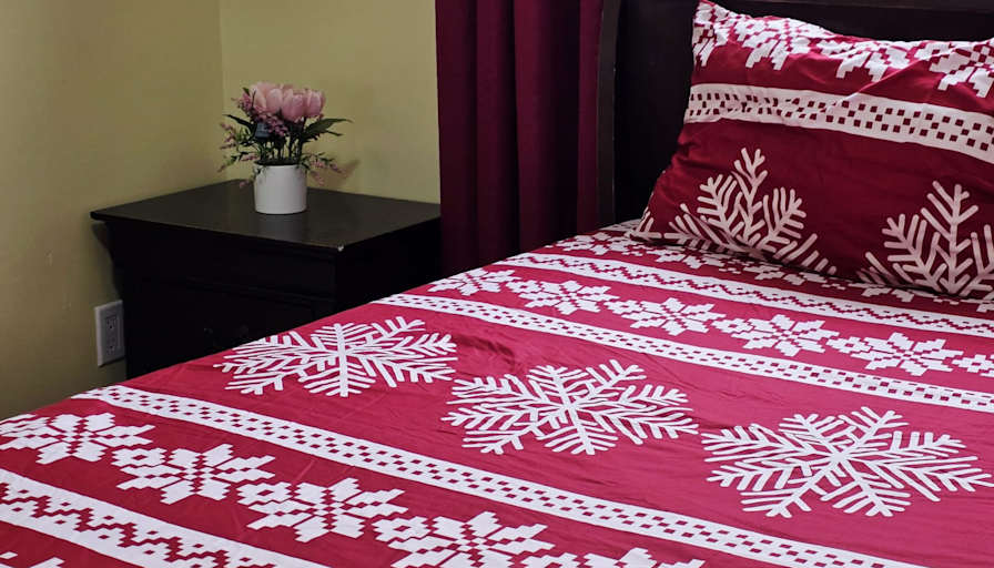 Nicola's room
