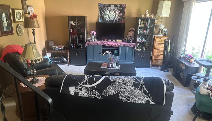 Ashlynn's room