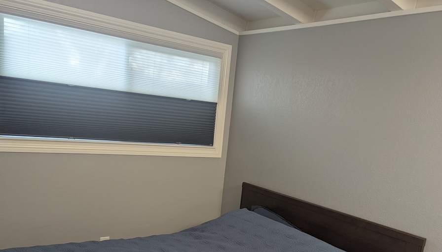 Taz's room