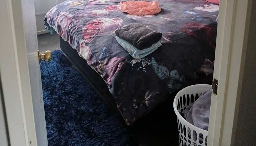 Shane's room