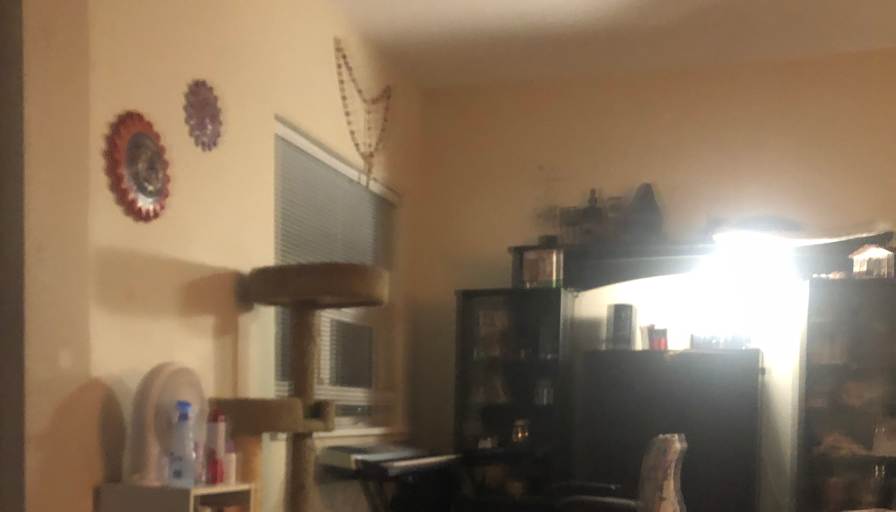Patricia Arias's room