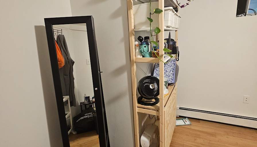 Dove's room