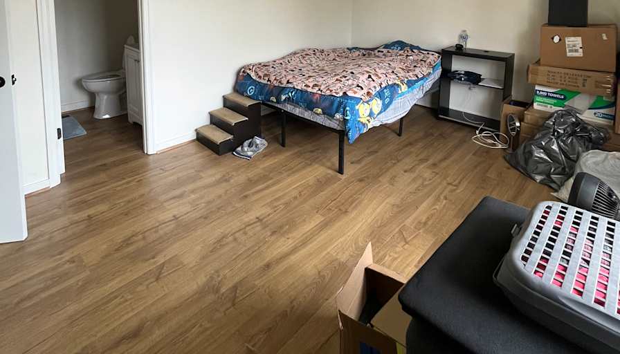 Paula's room