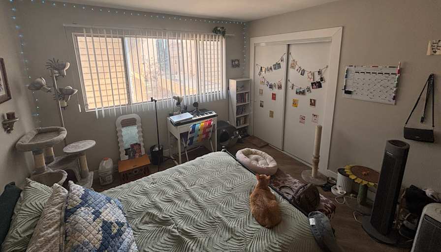 Dani's room