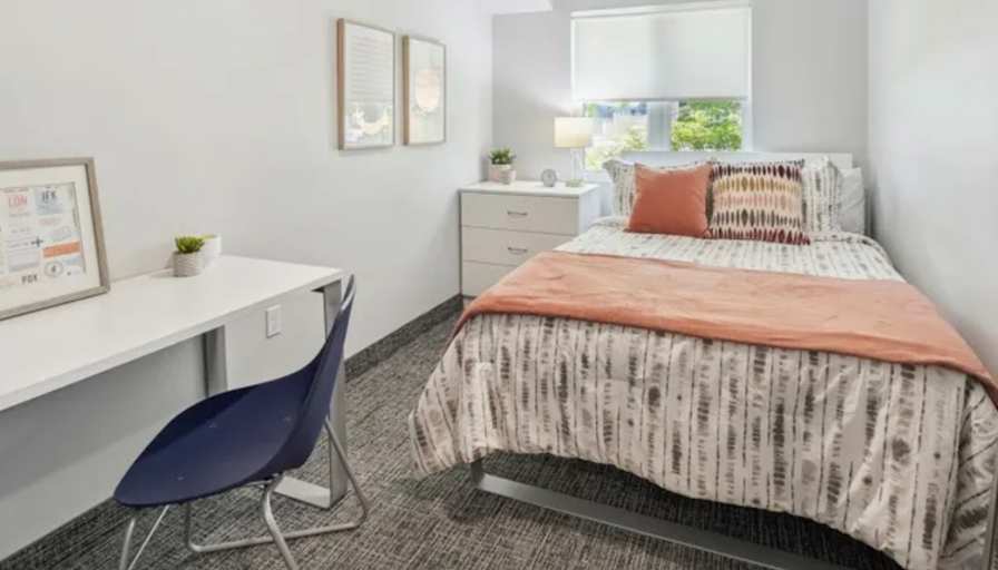 Serour's room