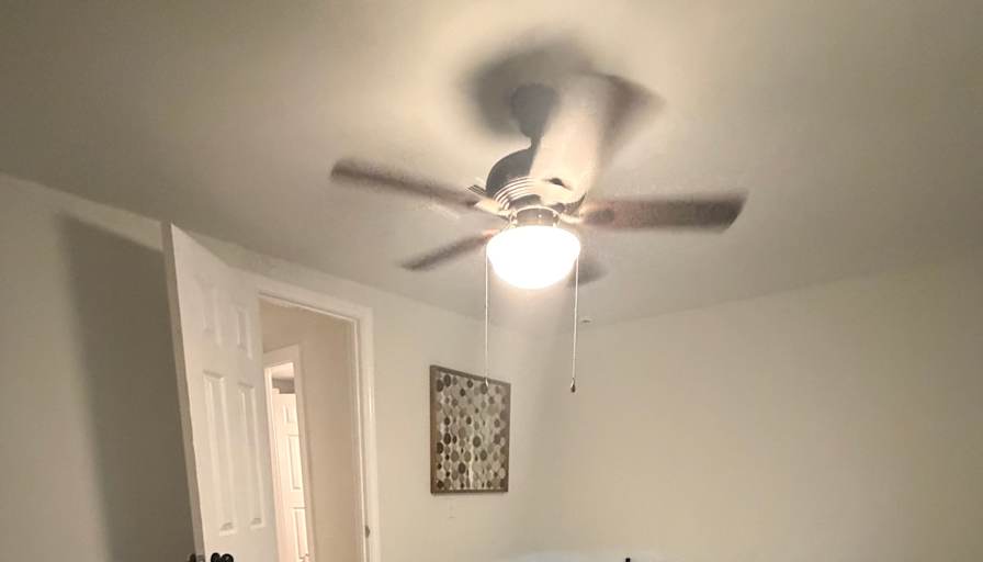 Bee's room