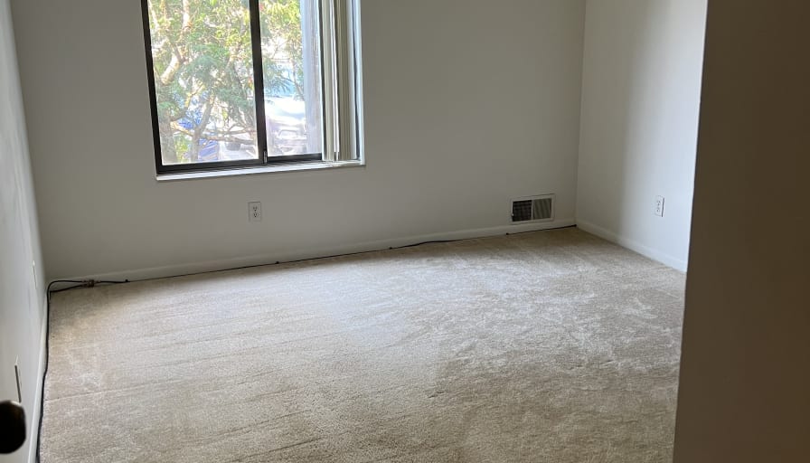 Elizabeth's room