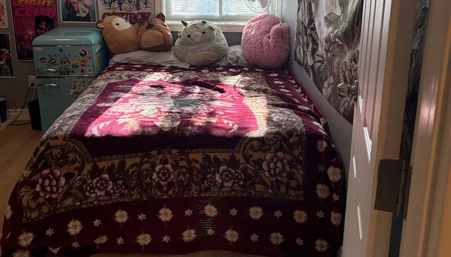 Hayley's room