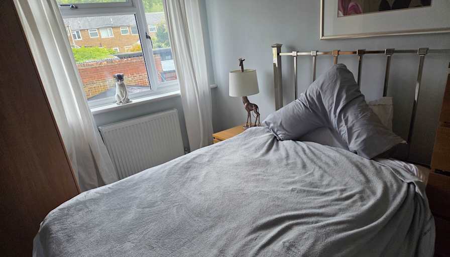 Philippa Jl's room