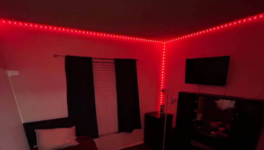 Landie's room