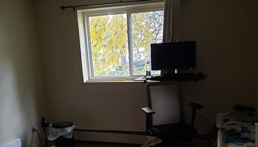 Amy's room