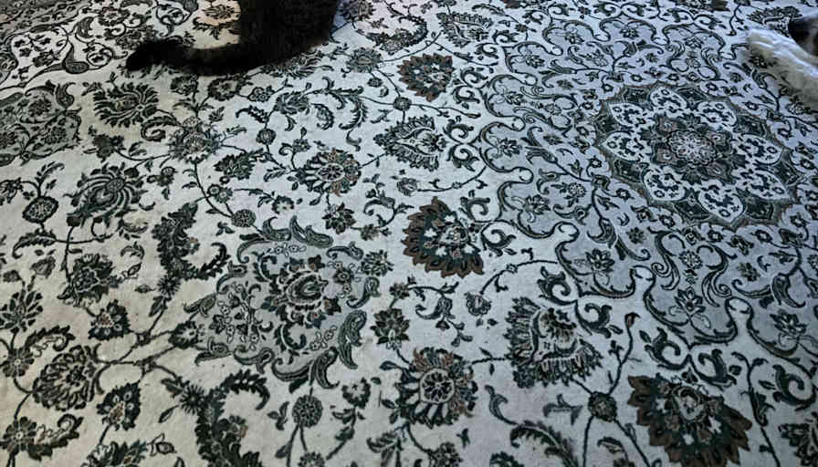 Betsy's room