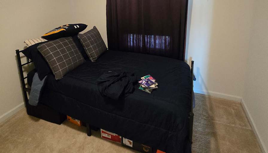 David Thorpe's room