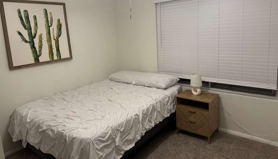 Ariana's room