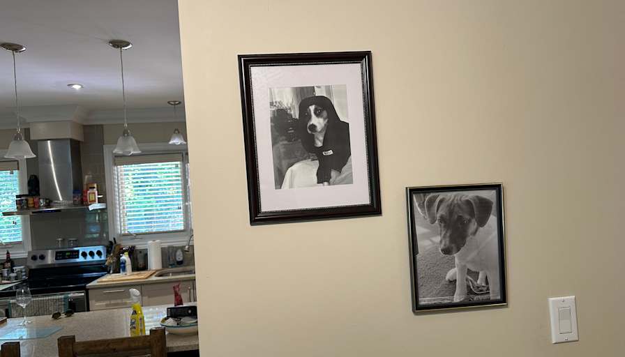 Michael's room