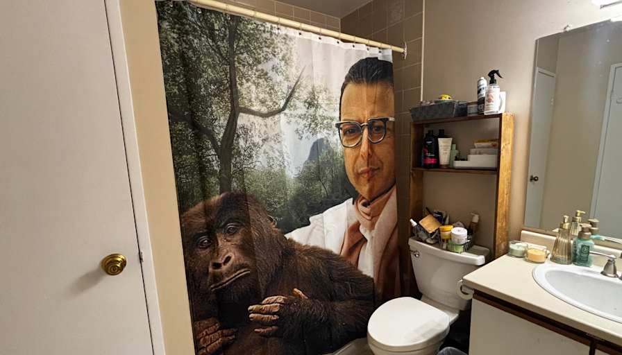 Rachel's room