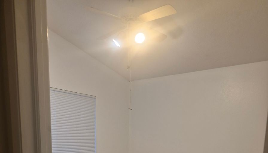 Dialay's room