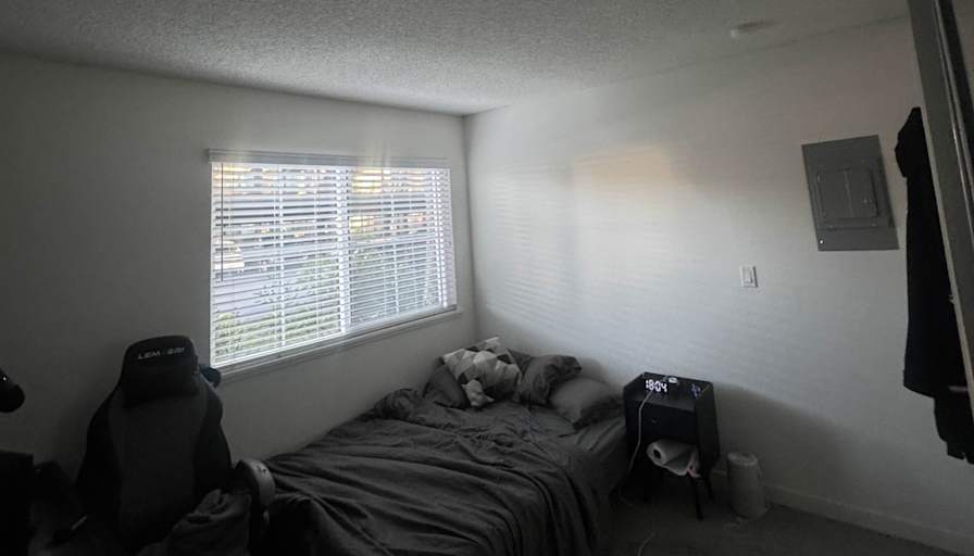 Hamad's room