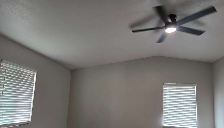 any mitchell torres cisneros's room