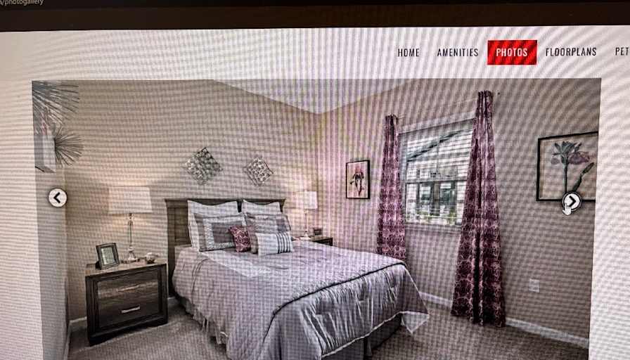 paige's room