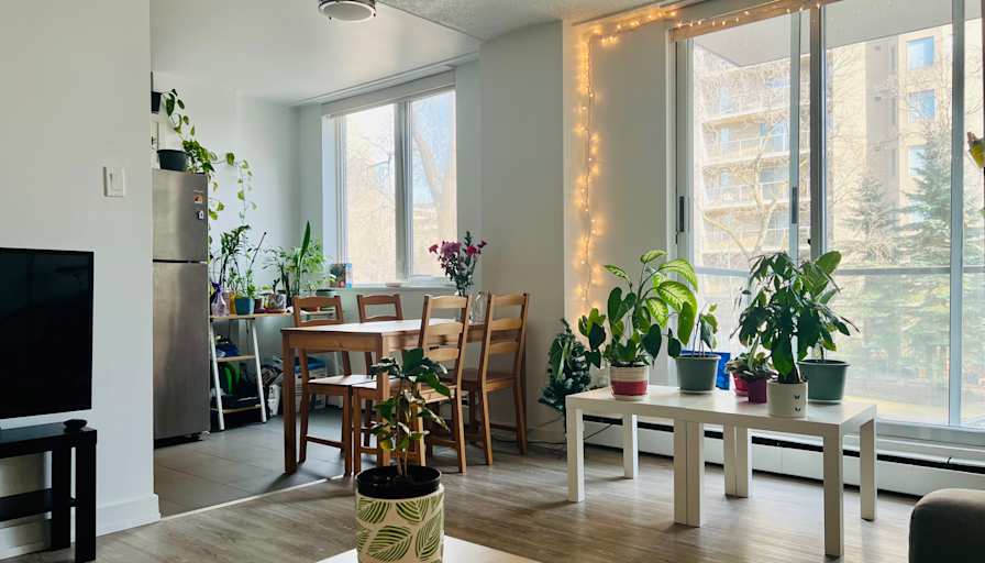 Megar's room