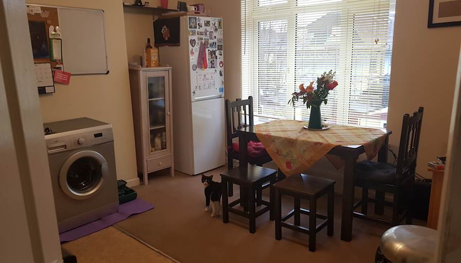 Mark's room