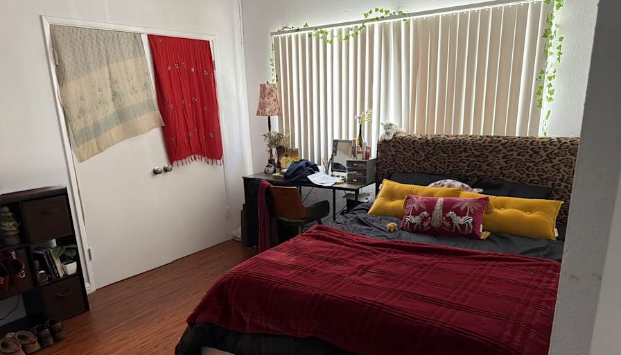 Ashley Costello's room
